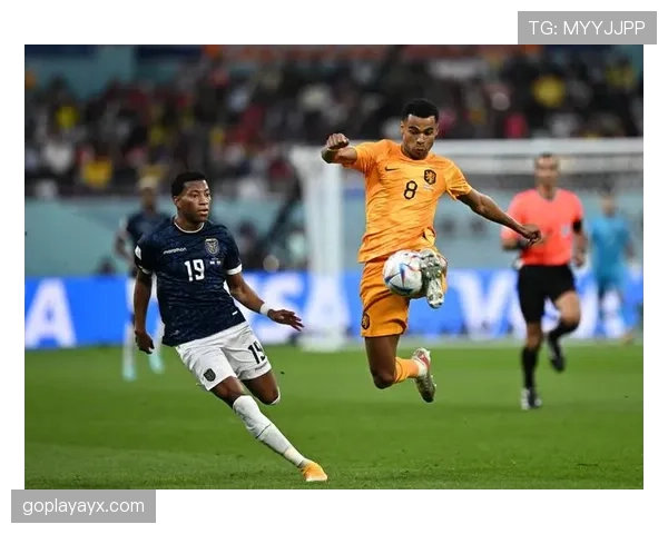 加克波表现稳健，助荷兰队关键战告捷