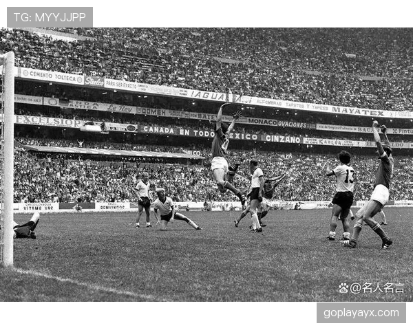 佩德里欧洲杯冠军时刻表现稳健，助力西班牙夺冠