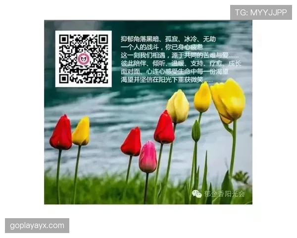 荷兰队2026世界杯战术革新：范加尔遗产能否助郁金香绽放美加墨